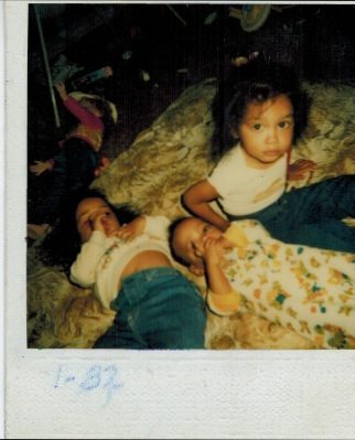 Scan 19